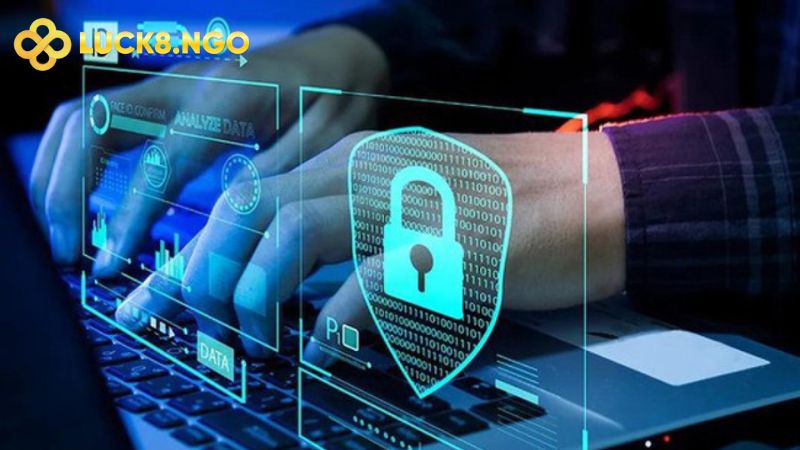 Trách nhiệm của nhà cái